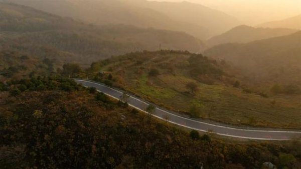 启远网  云端花海！这条国家级“最美乡村路”风景正美！