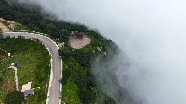 云端花海！这条国家级“最美乡村路”风景正美！