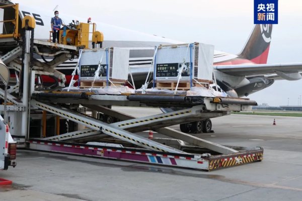 配资快线 旅日大熊猫们“到家”啦！