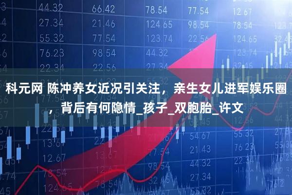 科元网 陈冲养女近况引关注，亲生女儿进军娱乐圈，背后有何隐情_孩子_双胞胎_许文