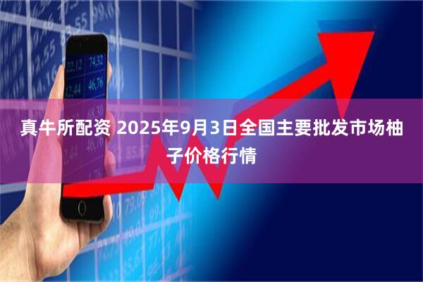 真牛所配资 2025年9月3日全国主要批发市场柚子价格行情