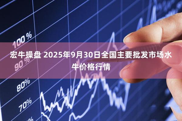 宏牛操盘 2025年9月30日全国主要批发市场水牛价格行情