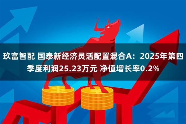 玖富智配 国泰新经济灵活配置混合A:2025年第四季度利润25.23万元 净值增长率0.2%